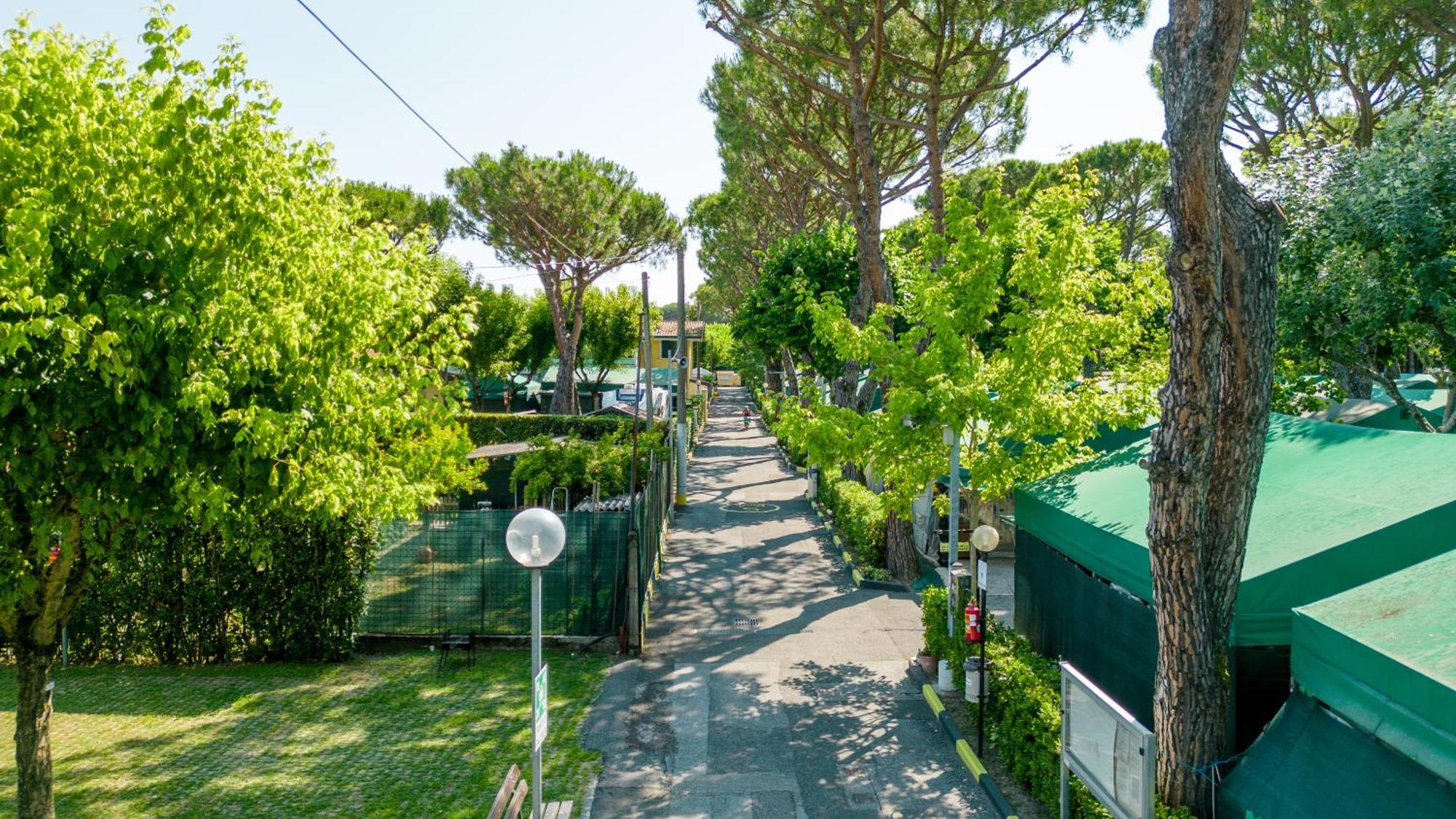 Camping Apuano Marina di Massa Buitenkant foto