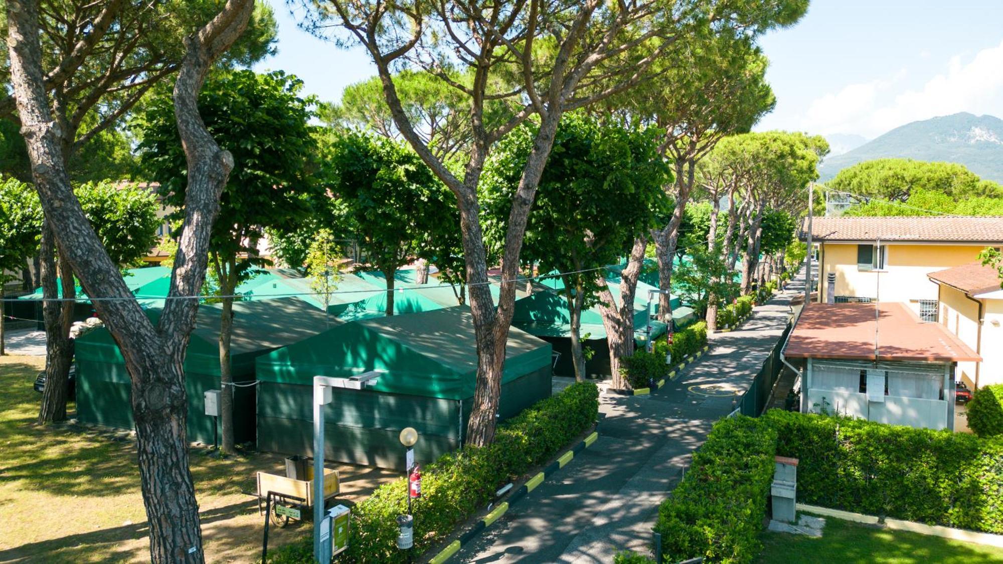 Camping Apuano Marina di Massa Buitenkant foto